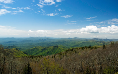 Spring into SmartKutz Salon