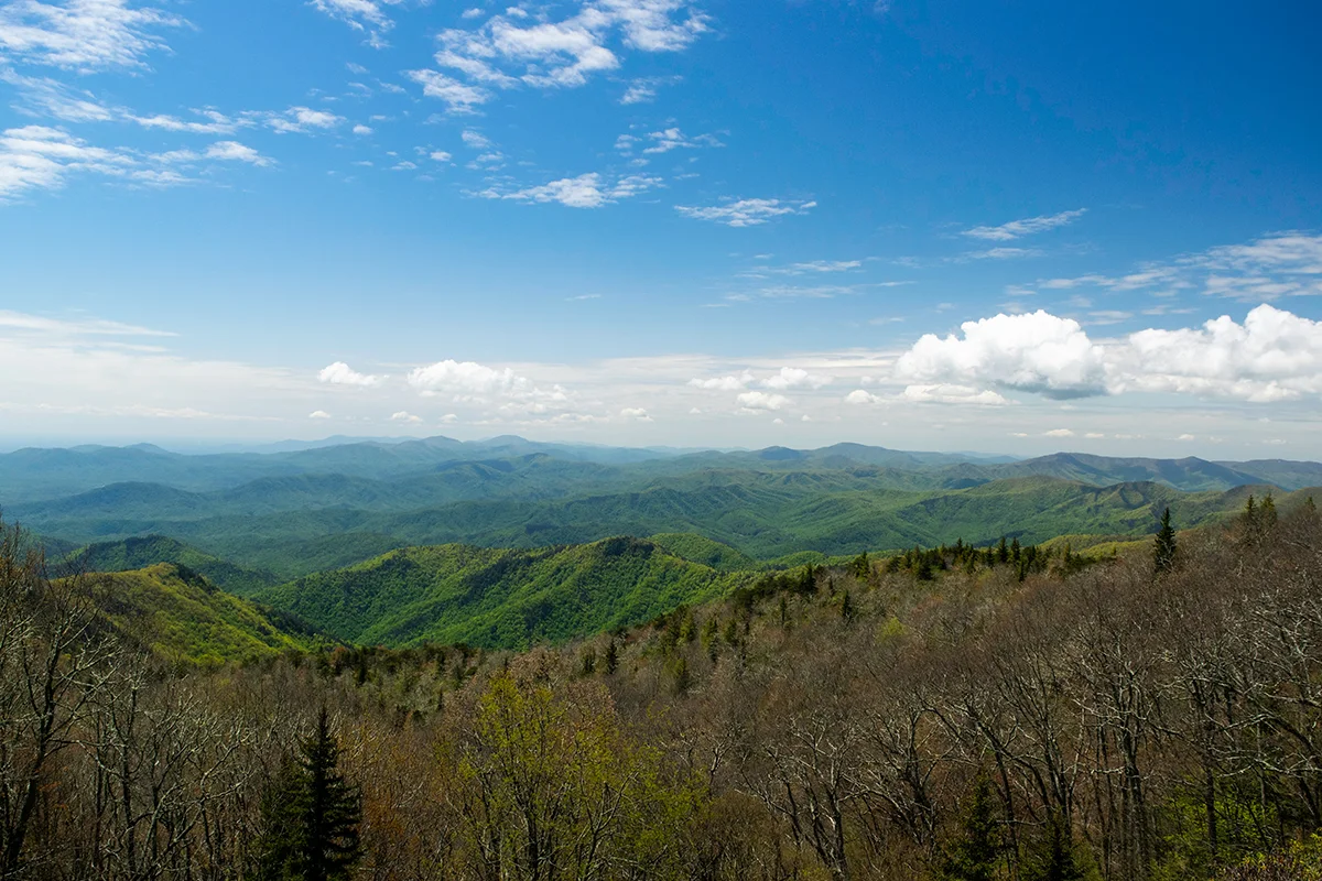 Mountains Spring Mountains Spring image